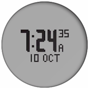 GARMIN Forerunner 210 Time and Date