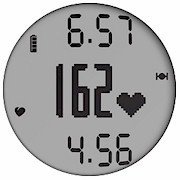 GARMIN Forerunner 210 Training - Heart Rate