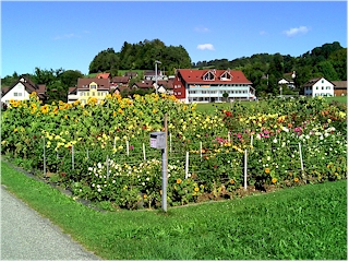 Blumengarten